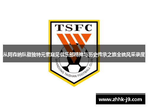 从阿森纳队徽独特元素窥见俱乐部精神与历史传承之旅全貌风采录度