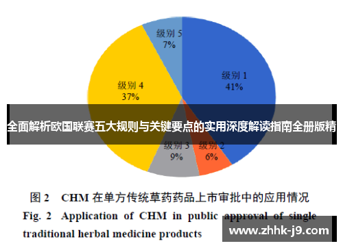 全面解析欧国联赛五大规则与关键要点的实用深度解读指南全册版精 全面解析欧国联赛五大规则与关键要点的实用深度解读指南全册版精