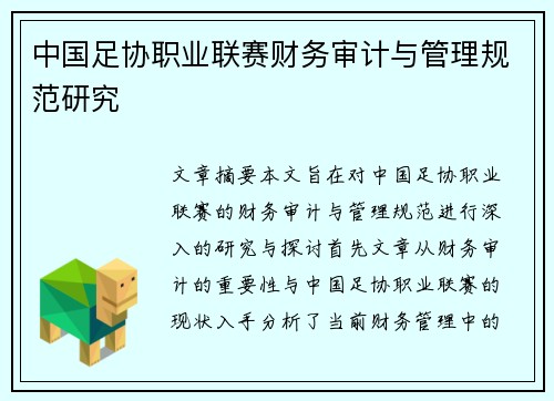 中国足协职业联赛财务审计与管理规范研究